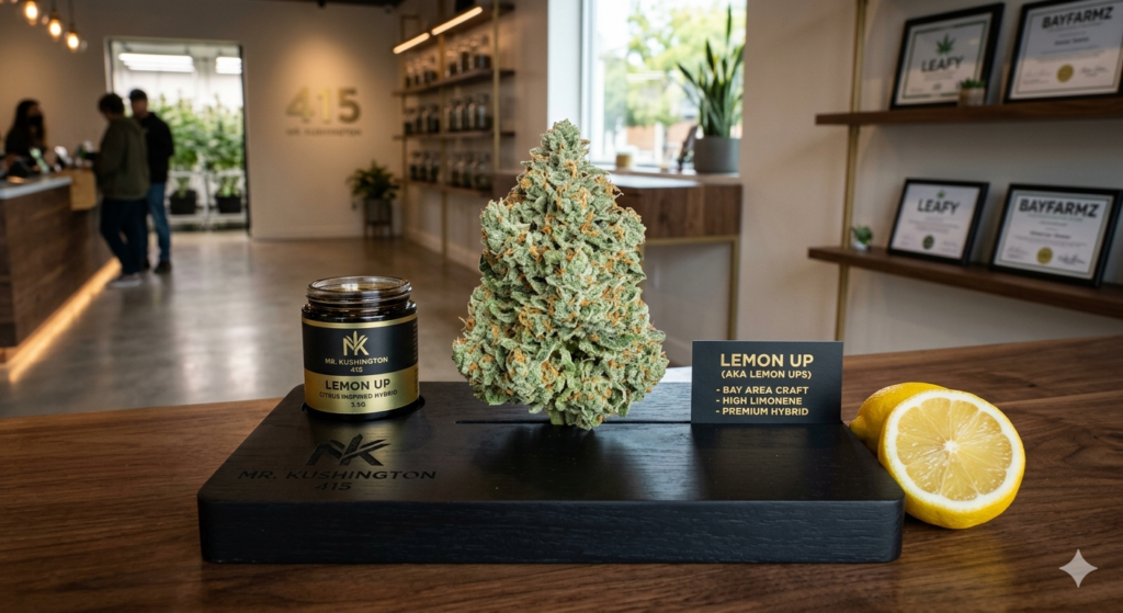 The Citrus Renaissance: Why Mr. Kushington’s Lemon Up is the New Standard for Bay Area Craft Cannabis 1779846591383