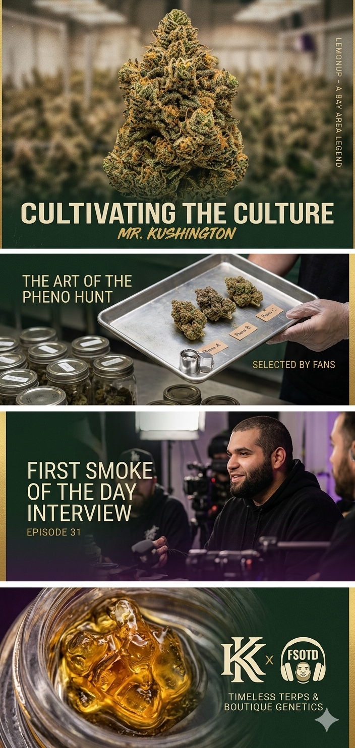 Cultivating the Culture: How Mr. Kushington is Redefining Bay Area Boutique Cannabis 1779944991751