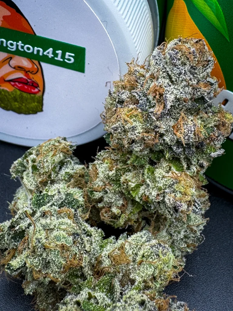 Mr Kushington Lemon Up Seeds: Sourcing Elite Boutique Genetics 1000000896