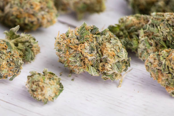 up close on medical marijuana buds