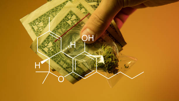 Buying Guide: Mr. Kushington 415 Premium Cannabis Boutique Limited Drops Boutique cannabis jar with Mr. Kushington 415 label