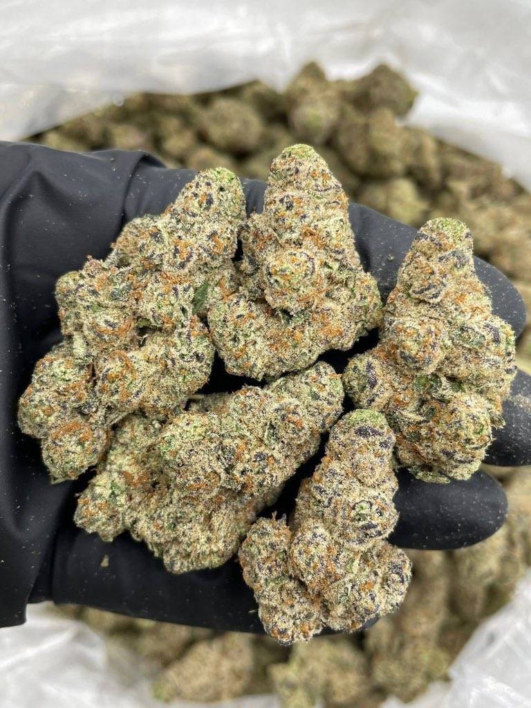 signal 2026 04 08 01 40 20 819