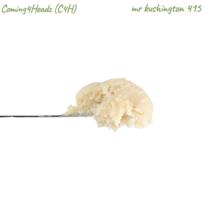 coming4headz x mr. kushington | undisclosed lemons 70u 149u fresh press rosin (1g)