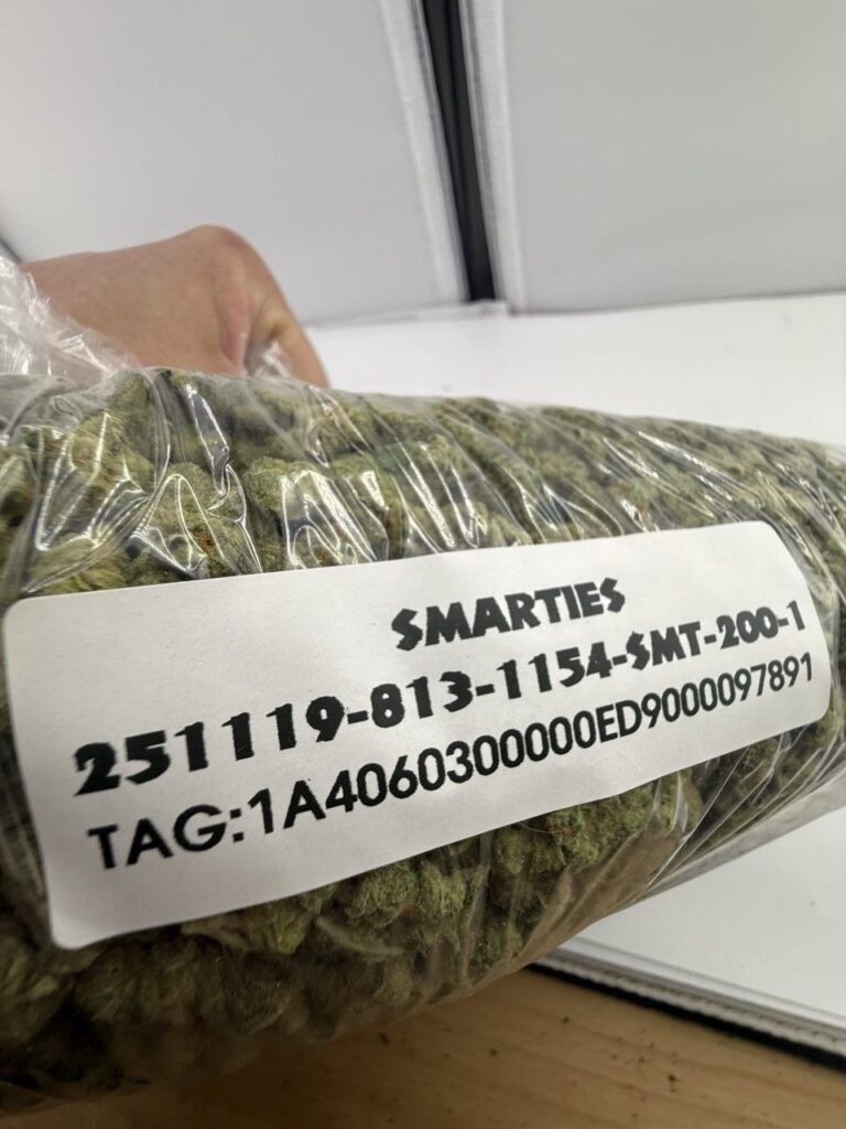 1000001392