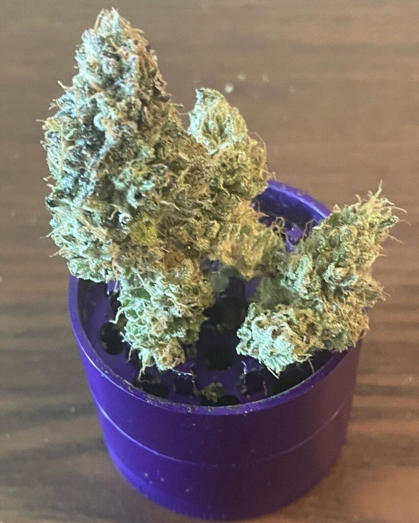 The Ultimate Guide to Mr. Kushington 415 THCa Products: Premium, Small-Batch Cannabis 1000004371