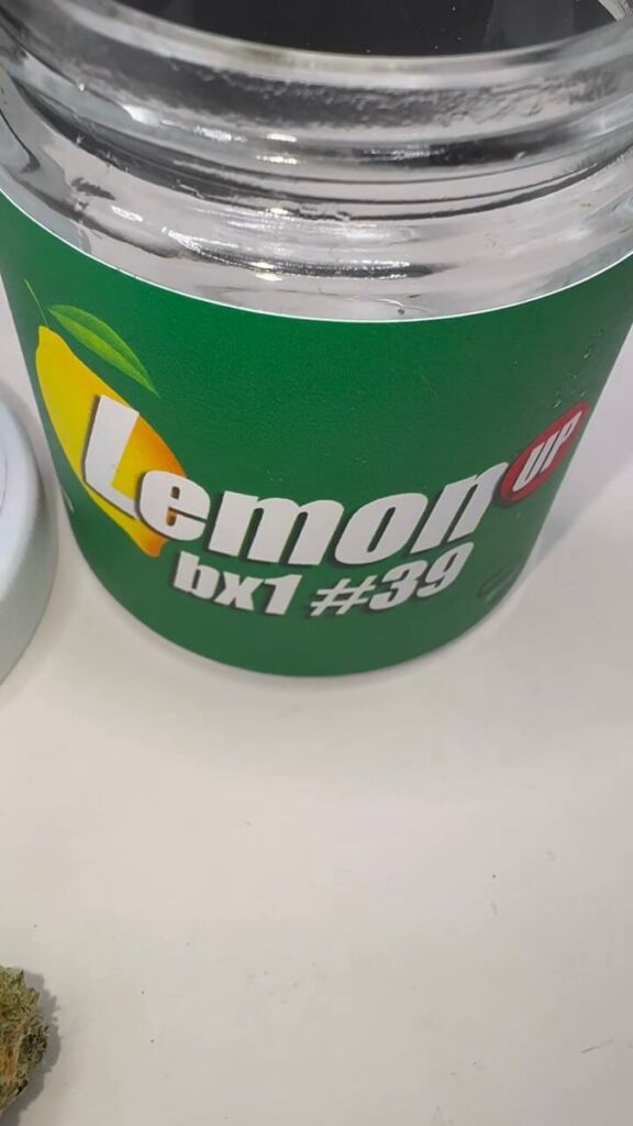 Strain Review: Lemon Up by MrKushington415 mrzfvkfdirbrjopa