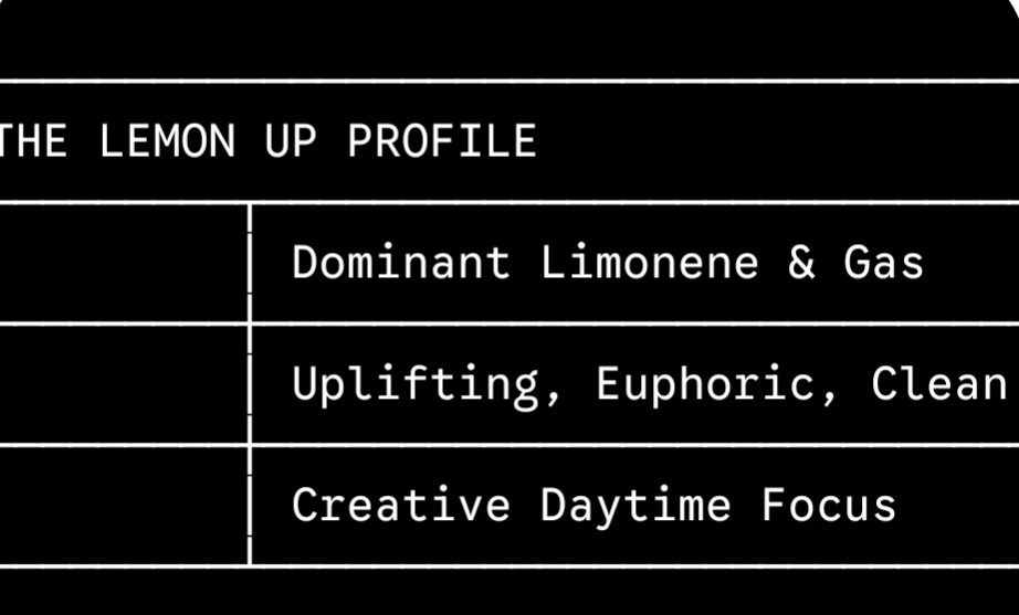 The Ultimate Guide to Mr. Kushington 415 THCa Products: Premium, Small-Batch Cannabis screenshot 20260527 054335