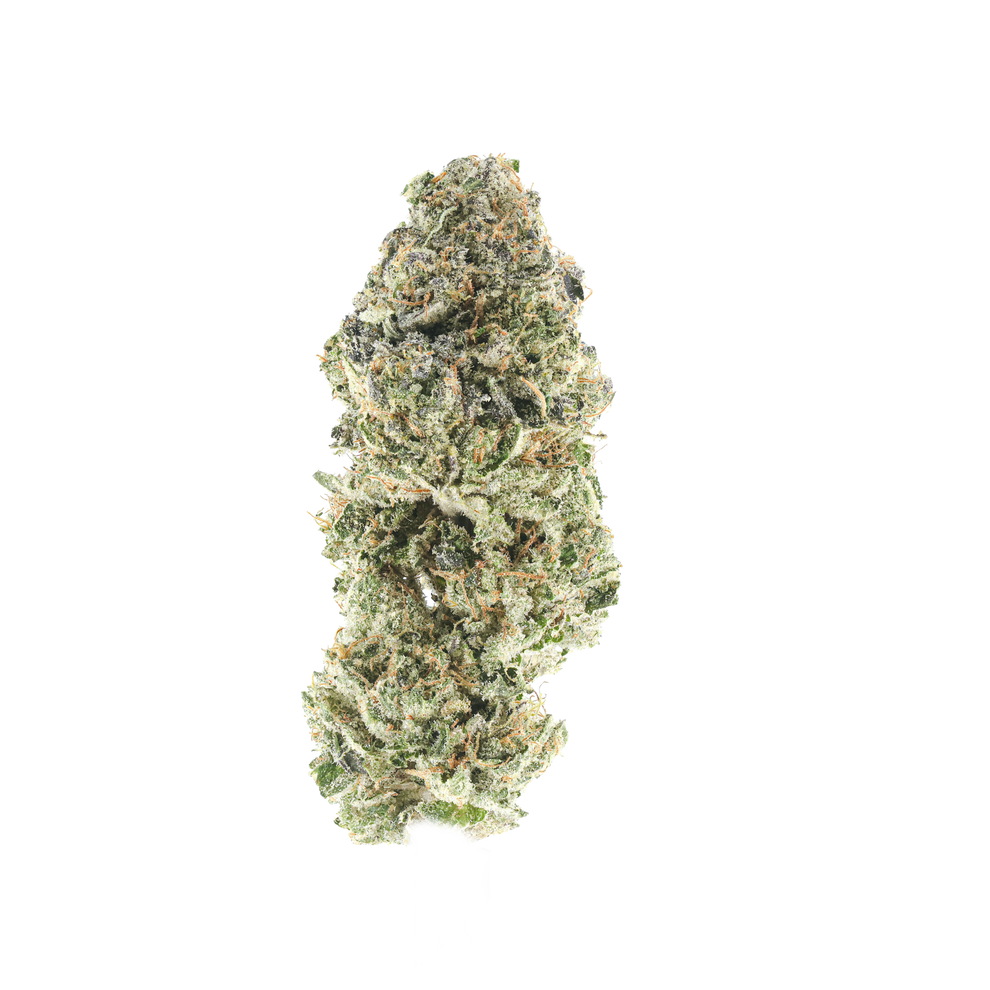 lemon up