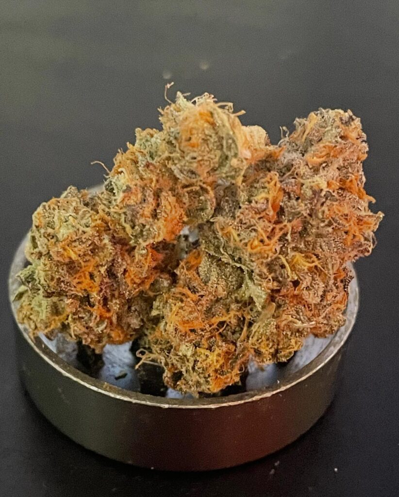 Cultivar Review: Zurge by Mr. Kushington - The Highest Critic 1000000838