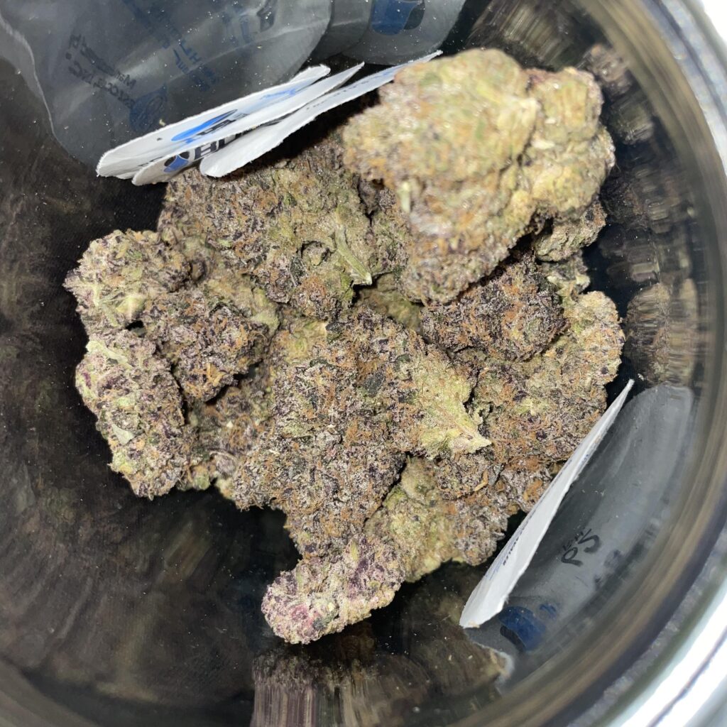 Cultivar Review: Zurge by Mr. Kushington - The Highest Critic 1000000841