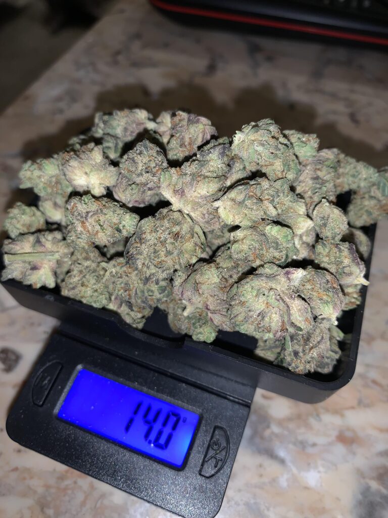 1000001093