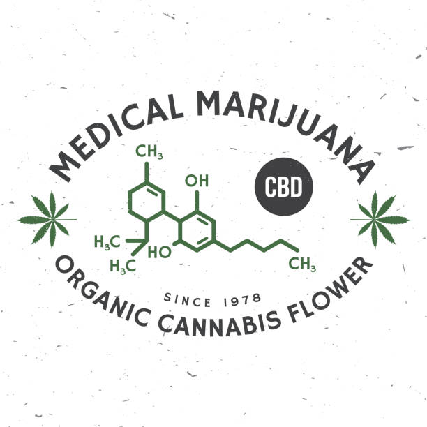 Lemon Up THCA Flower: A Connoisseur’s Guide to Mr. Kushington’s National Drop 1000001322