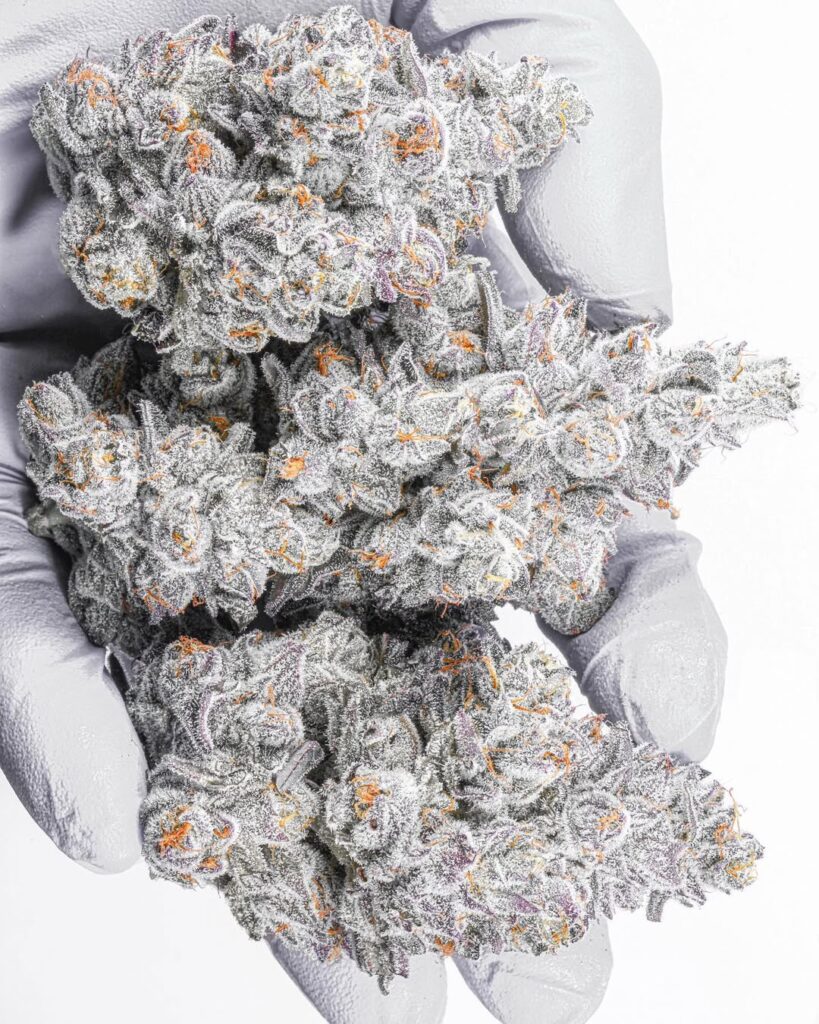 1000002063