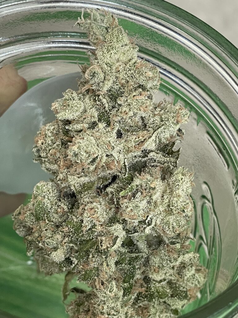 masuperskunk v0 vst1r2mysj4h1